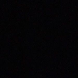 Meet your Posher, Lyla